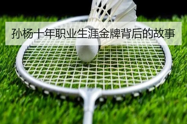 孙杨十年职业生涯金牌背后的故事